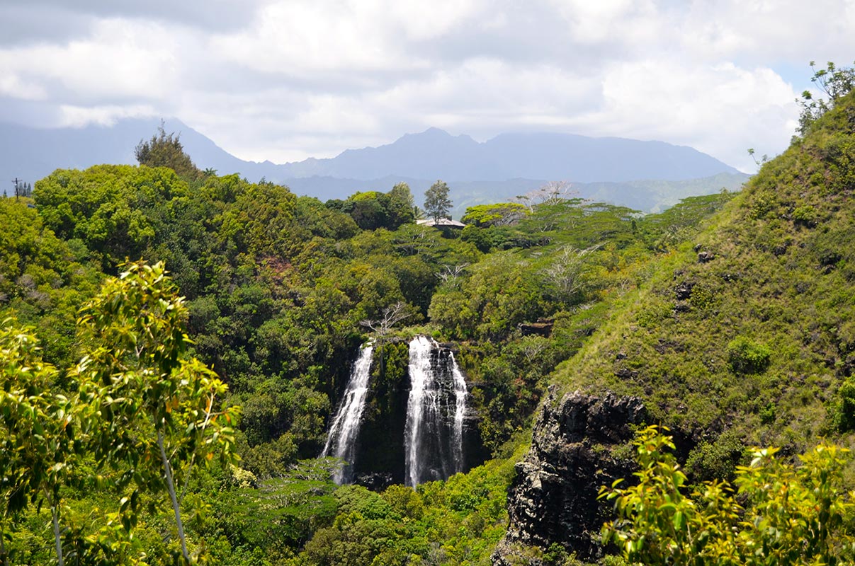 Kauai Waterfall Hikes