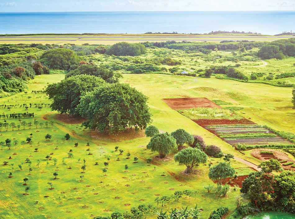 Farm at Hokuala aerial
