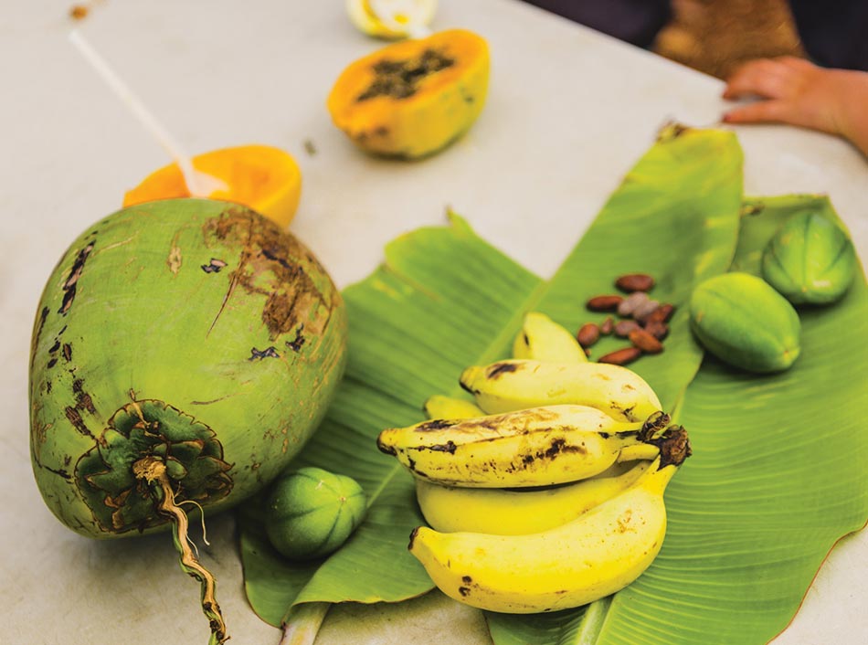 Coconut and bananas from the Farm at Hokuala
