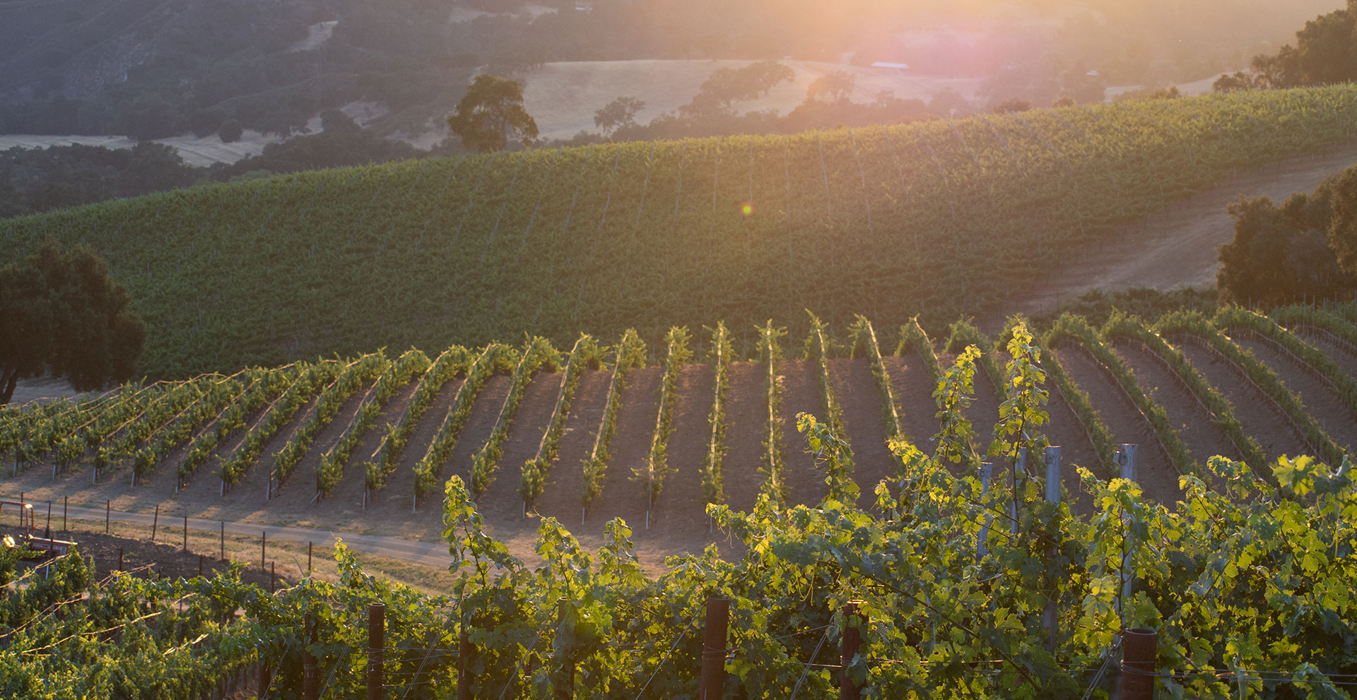 Bernardus Winery