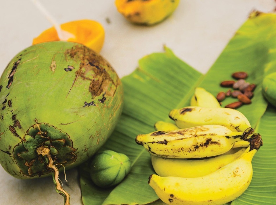 Fruit from the Farm at Hokuala