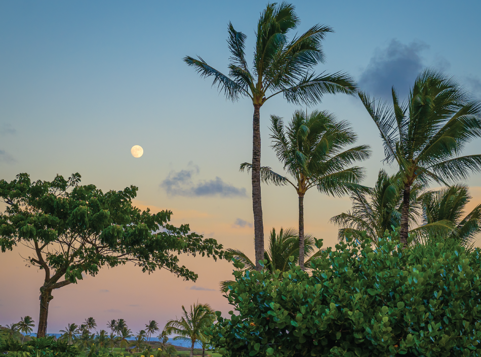 Timbers Kauai Rest Makahiki Season