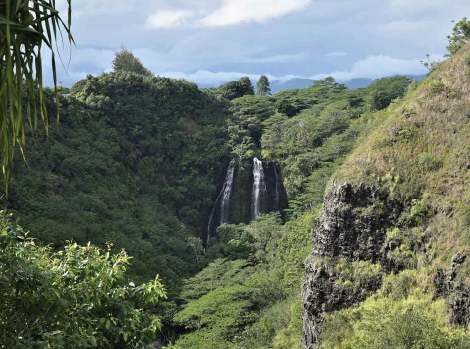 Hawaii Waterfall