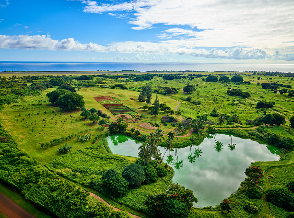 The Farm at Hokuala Aerial View